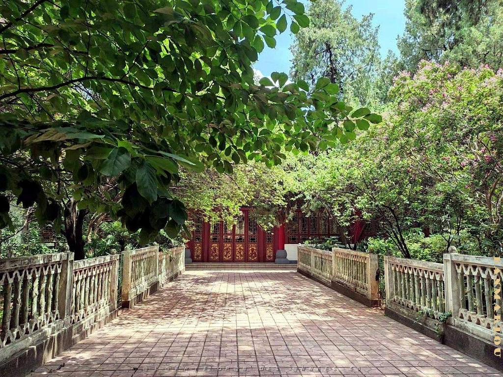 Kunming - Universite du Yunnan (66).jpg